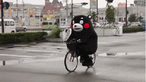 2.gif